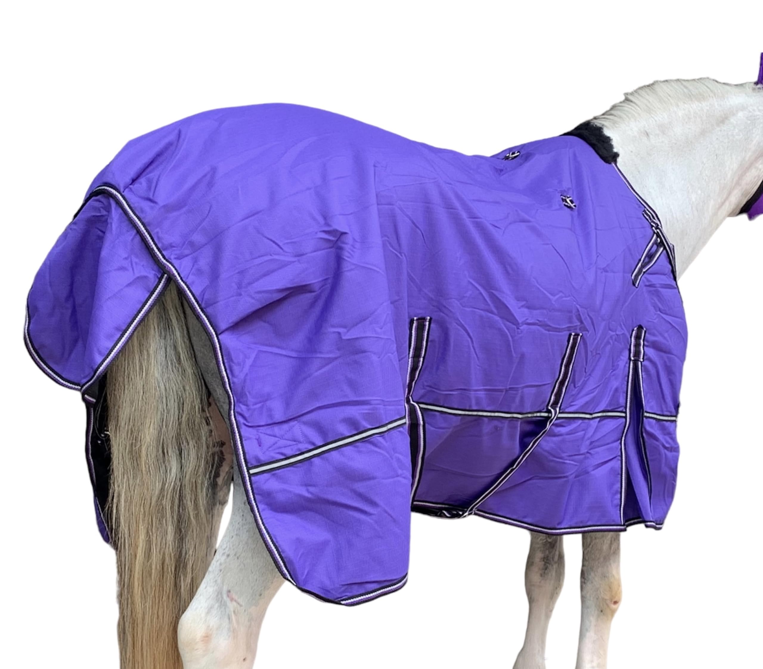 Majestic Ally 1200D Ripstop Horse Turnout Blanket 250 GSM Filling (Purple, 76 - Inch) - Image 4