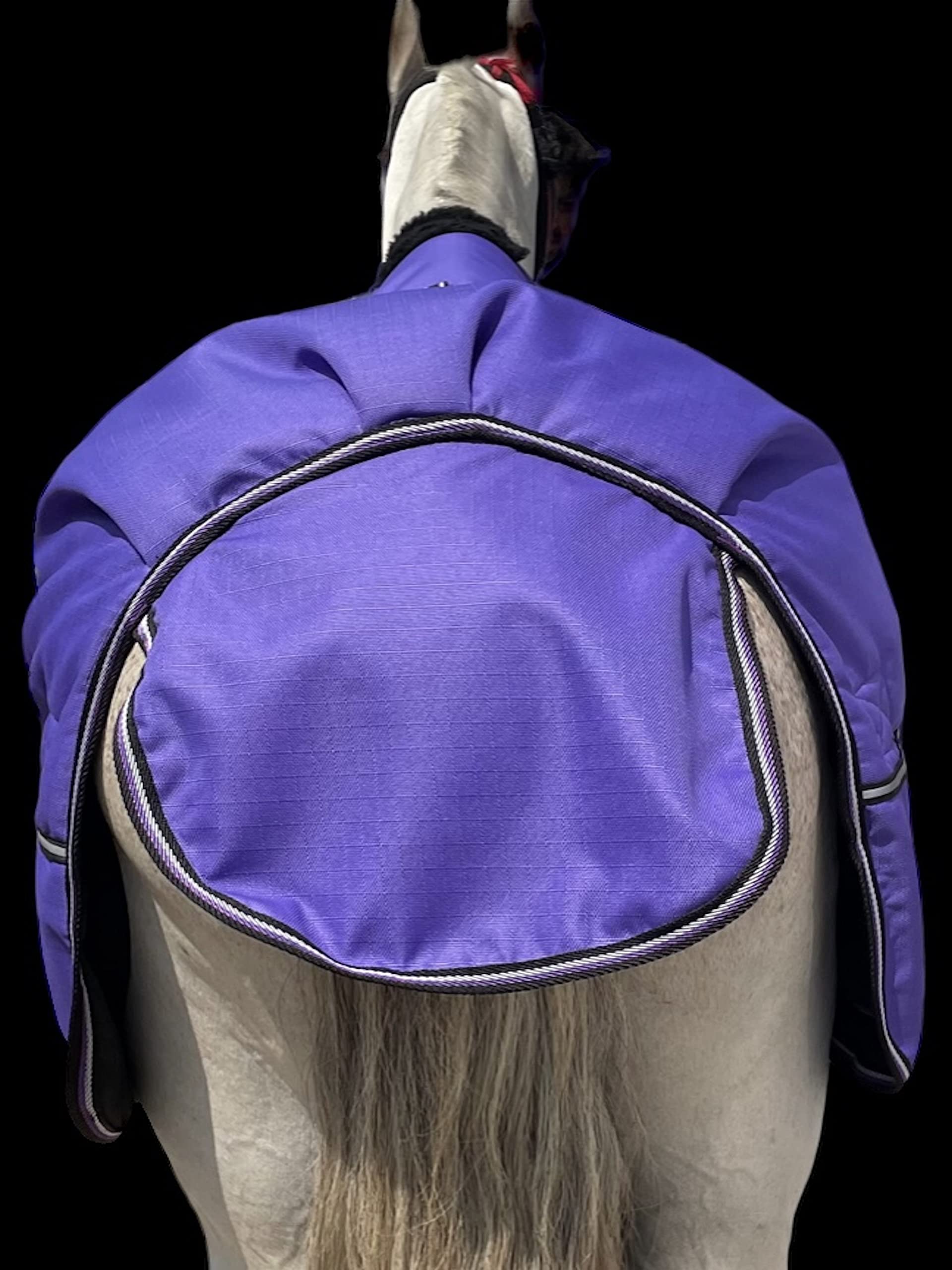 Majestic Ally 1200D Ripstop Horse Turnout Blanket 250 GSM Filling (Purple, 76 - Inch) - Image 6