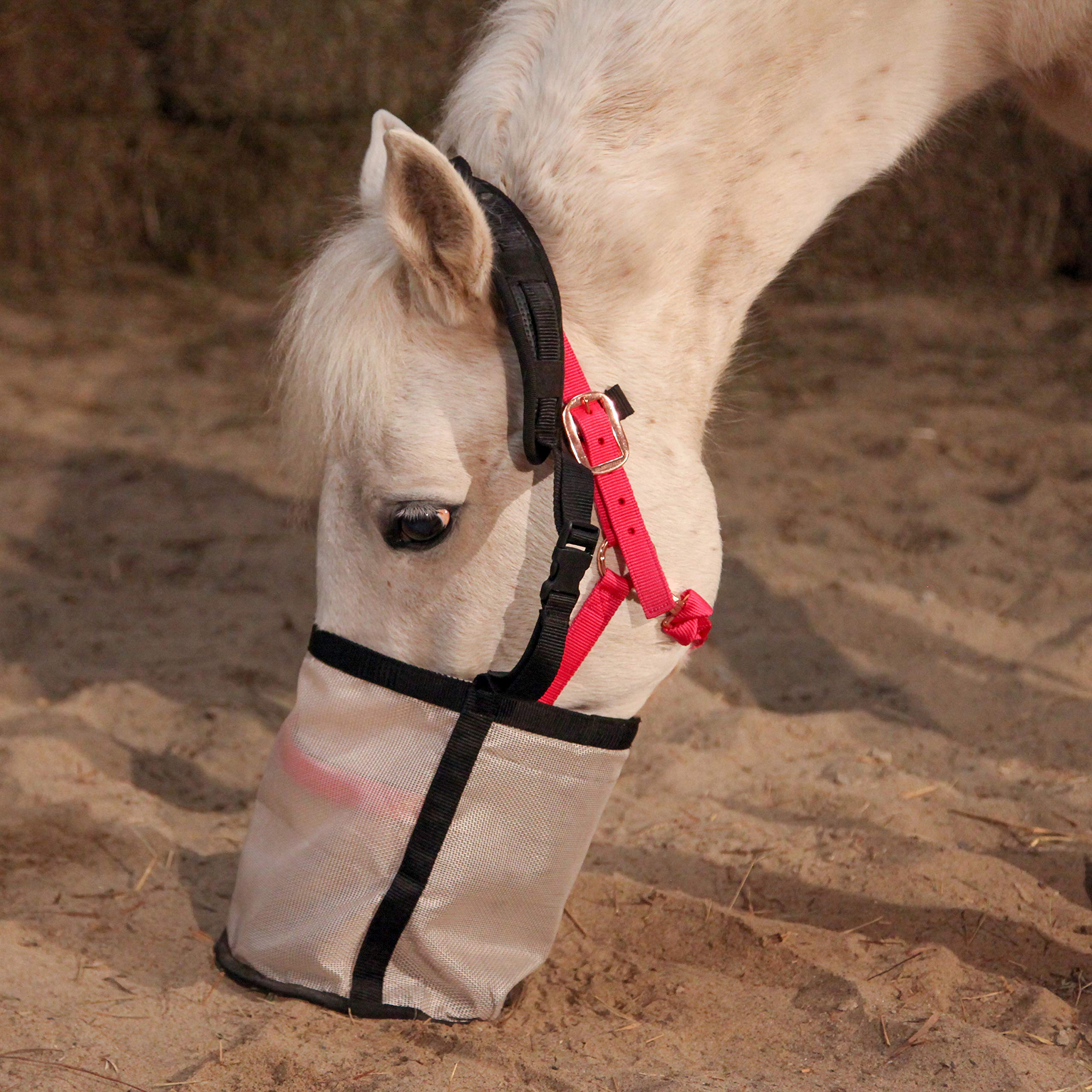 Majestic Ally Horse Feed Bag, Heavy Duty Nylon Mesh Grain Feed Bag, Adjustable Strap with Durable Snap and Elastic Straps, Comfort Neck Pad and Nose Pad- Large (Full, Black) - Image 7