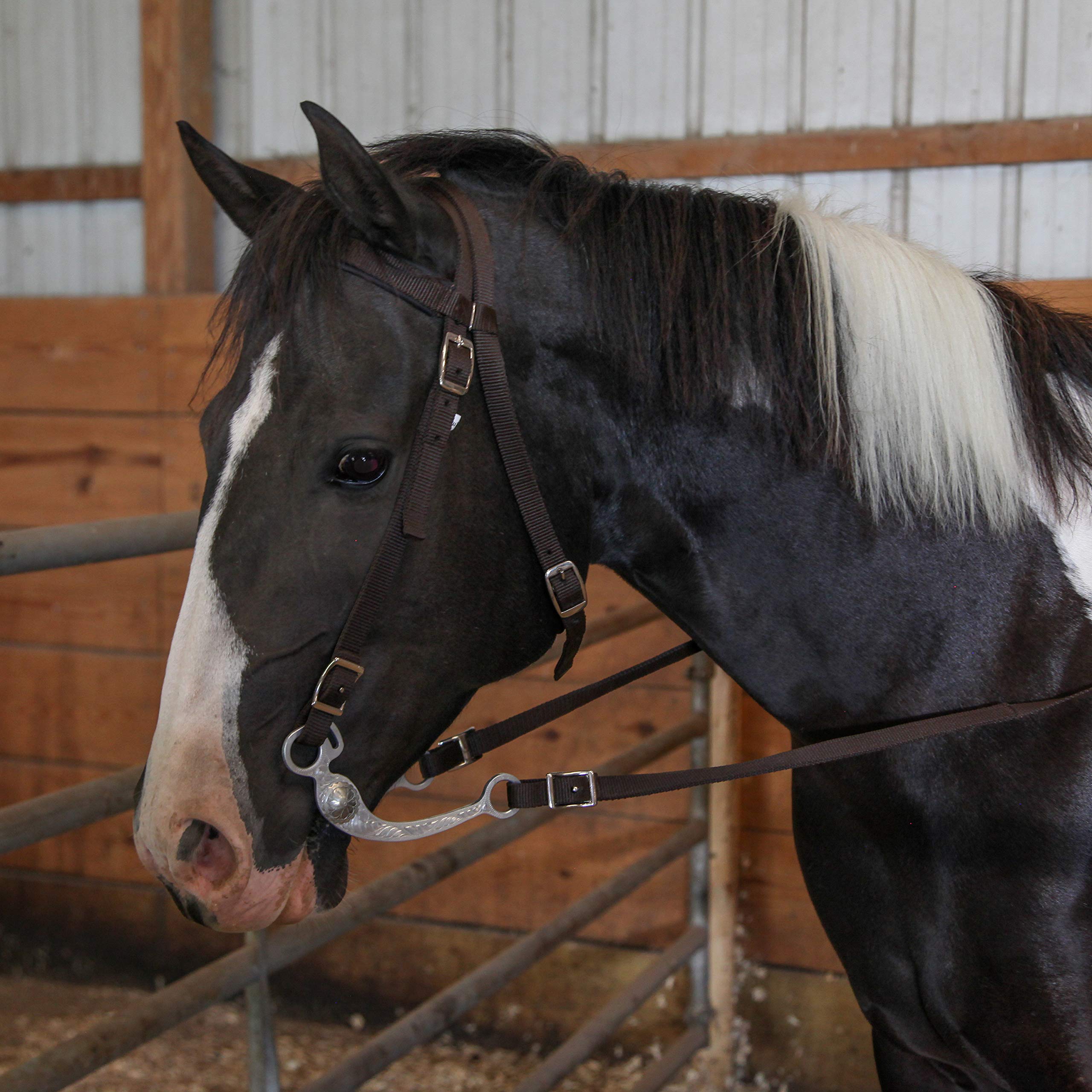Majestic Ally Horse Headstall with Reins, Nylon Padded Browband, Multiple Colors (Red, Full) - Image 3