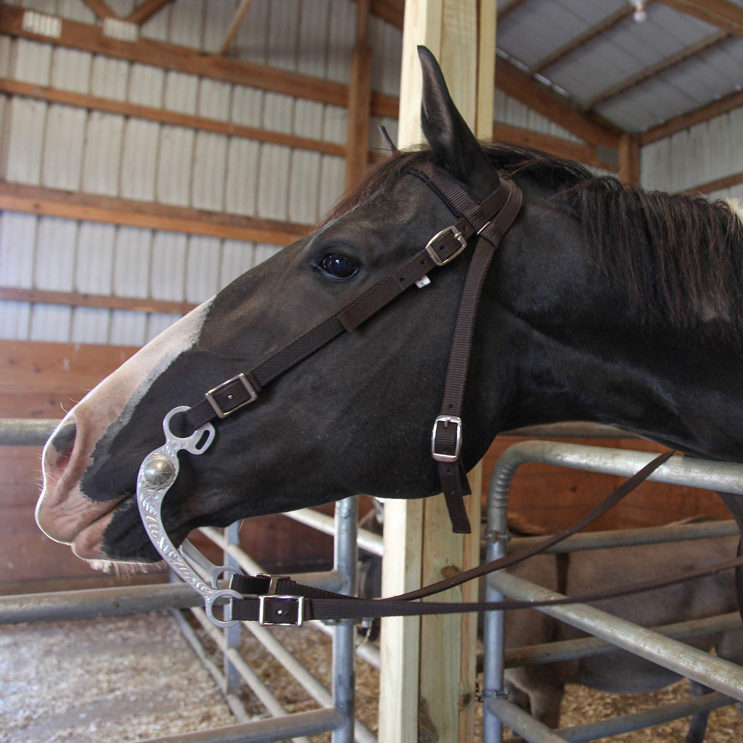 Majestic Ally Horse Headstall with Reins, Nylon Padded Browband, Multiple Colors (Red, Full) - Image 4