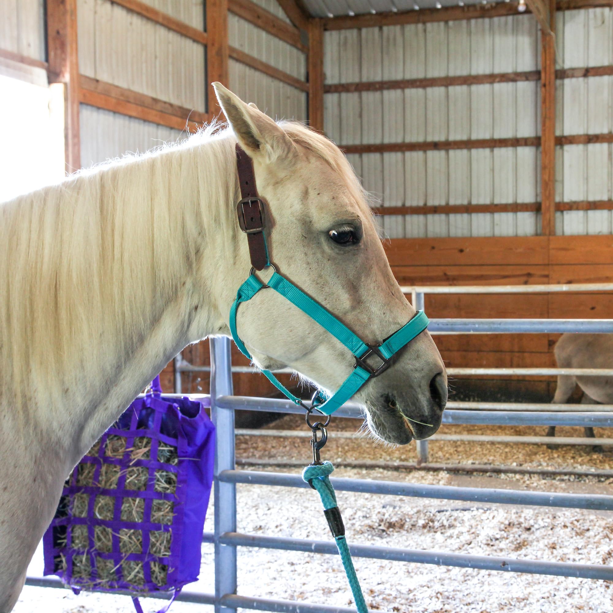 Majestic Ally Leather Halter with Matching Lead Rope for Horses – Leather Breakaway Crown - Adjustable Chin Strap – Rolled Throat Latch – Padded Noseband – Full (Red, Full) - Image 3