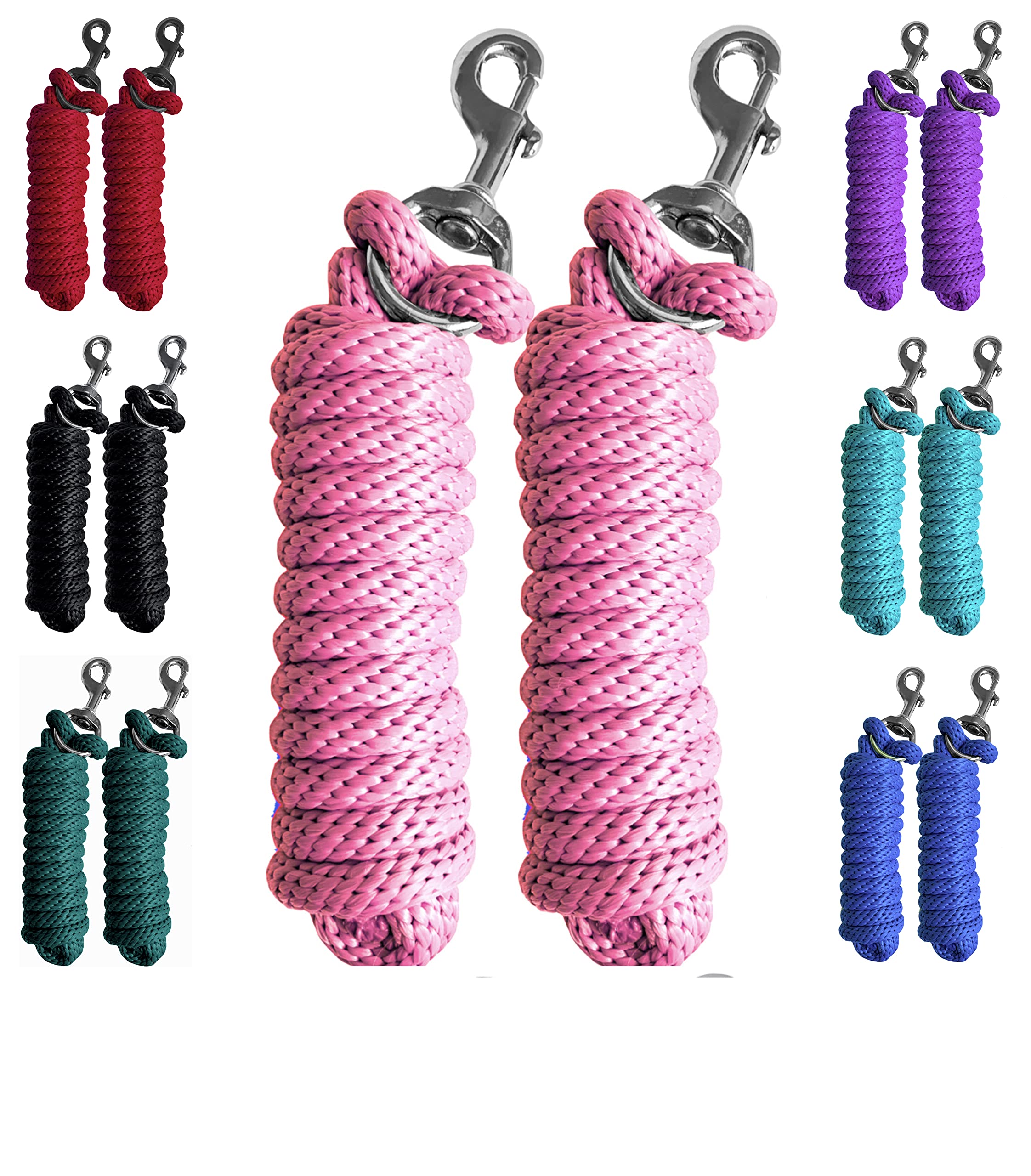 Leads & Rope